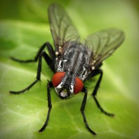 /album/multiboxing-software9787/photolia-a01-jpg/