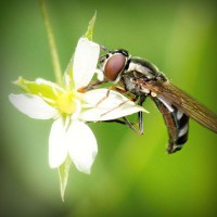 /album/multiboxing-software9787/photolia-a02-jpg/