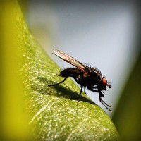 /album/multiboxing-software9787/photolia-a04-jpg/