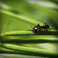 /album/multiboxing-software9787/photolia-a05-jpg/