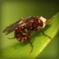 /album/multiboxing-software9787/photolia-a06-jpg/