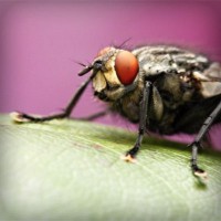 /album/multiboxing-software9787/photolia-a08-jpg/